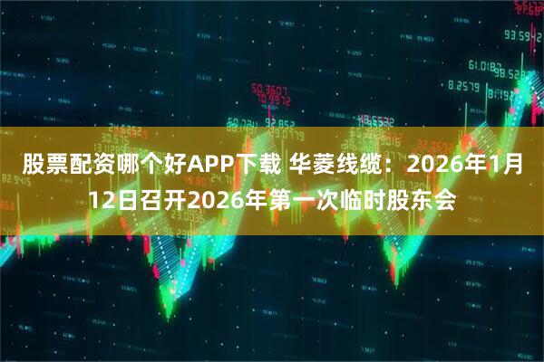 股票配资哪个好APP下载 华菱线缆：2026年1月12日召开2026年第一次临时股东会